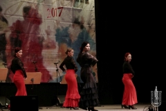 2017 FERIA FOTOS-145