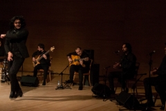 2018-01-27_XXII_Festival_Flamenco-010