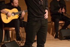 2018-01-27_XXII_Festival_Flamenco-028