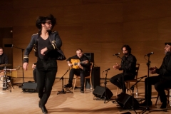 2018-01-27_XXII_Festival_Flamenco-035