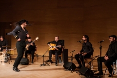 2018-01-27_XXII_Festival_Flamenco-036