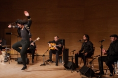 2018-01-27_XXII_Festival_Flamenco-037