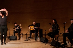 2018-01-27_XXII_Festival_Flamenco-040