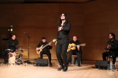 2018-01-27_XXII_Festival_Flamenco-059