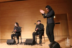 2018-01-27_XXII_Festival_Flamenco-065