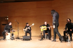 2018-01-27_XXII_Festival_Flamenco-070