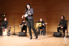 2018-01-27_XXII_Festival_Flamenco-071