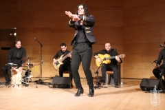 2018-01-27_XXII_Festival_Flamenco-072