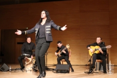 2018-01-27_XXII_Festival_Flamenco-074