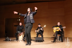 2018-01-27_XXII_Festival_Flamenco-075