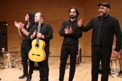 2018-01-27_XXII_Festival_Flamenco-078