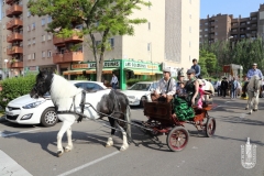 2018-05-20_Romeria_del_Rocio-002