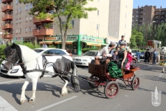 2018-05-20_Romeria_del_Rocio-003