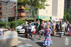 2018-05-20_Romeria_del_Rocio-005