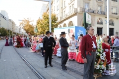 Cda_2018-10-12_OFRENDA_DE_FLORES_2018-C.A-042