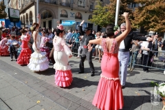 Cda_2018-10-12_OFRENDA_DE_FLORES_2018-C.A-043