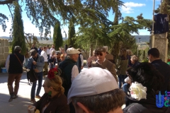 2019-05-04-Romeria-Fuendetodos-003