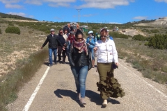 2019-05-04-Romeria-Fuendetodos-096