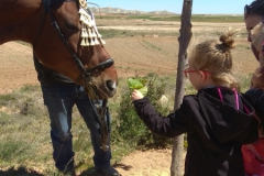 2019-05-04-Romeria-Fuendetodos-111